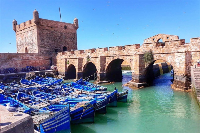 Day Trip from Marrakech to Essaouira