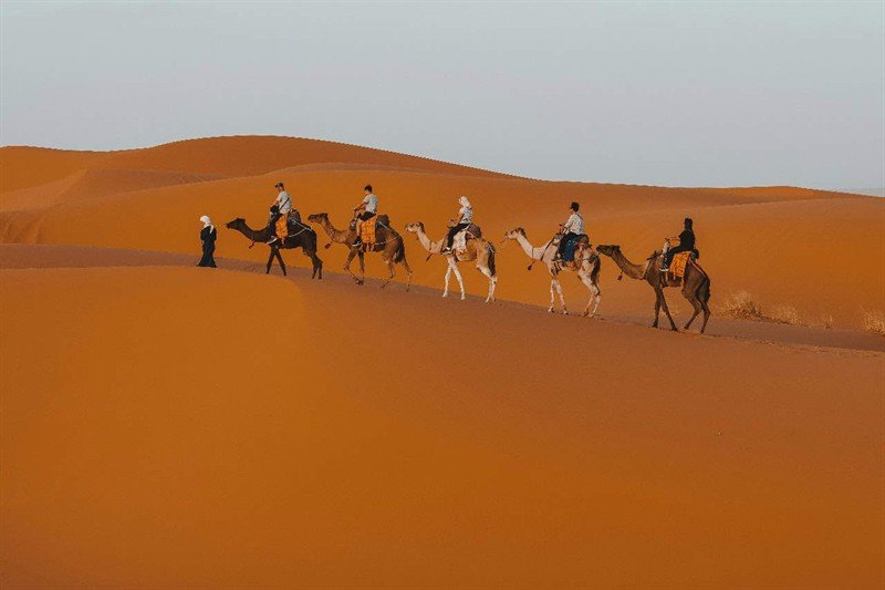 Caravana de dromedarios en el desierto del Sáhara